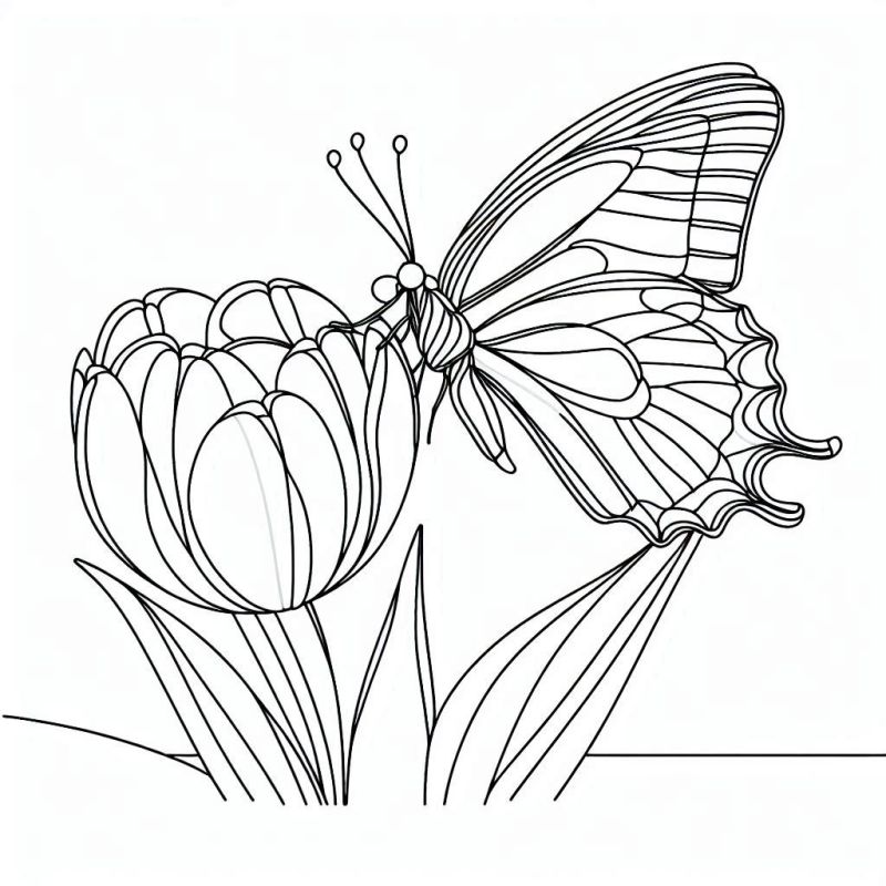 Desenho realista de uma borboleta pousada em uma flor para colorir